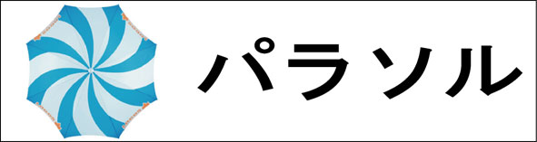 �p���\��