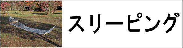�X���[�s���O