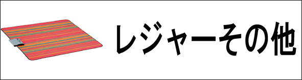 ���W���[���̑�